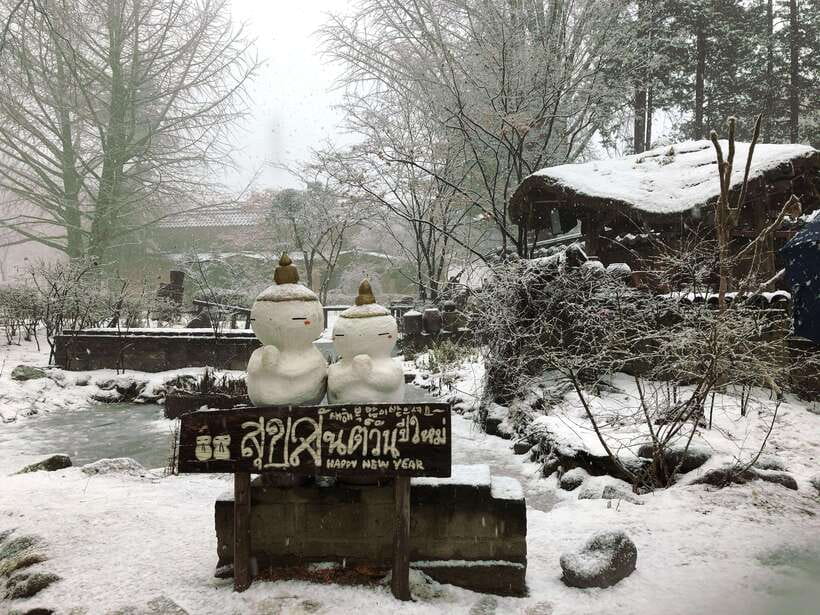 Seoul: Full-Day Winter Trip Ski Resort, Ice Valley, Namiseom - Elysian Gangchon Ski Resort: A Close-to-Seoul Winter Playground