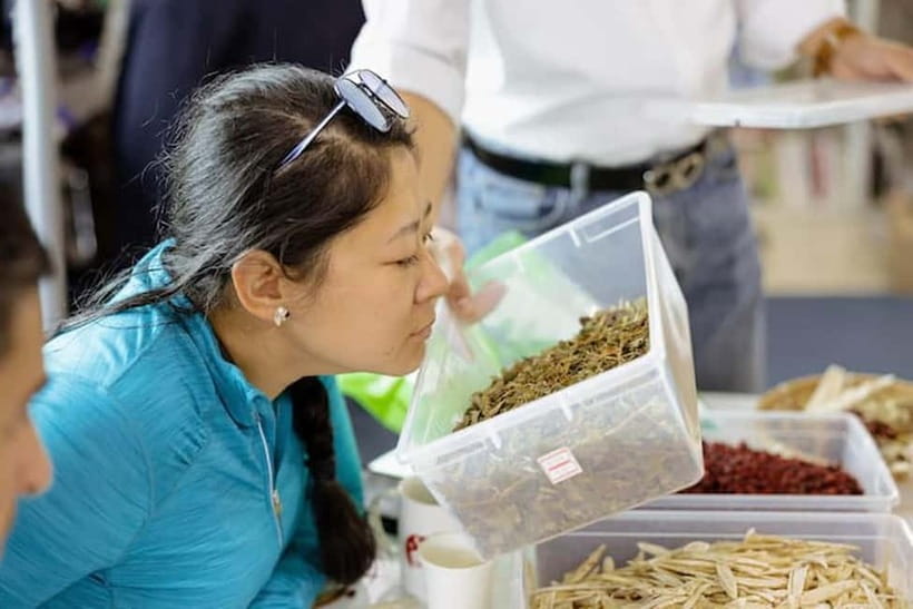 Seoul: Herbal Tea Class & Korean Medicine Tour - Price and value at $50: when it’s a steal and when it feels tight