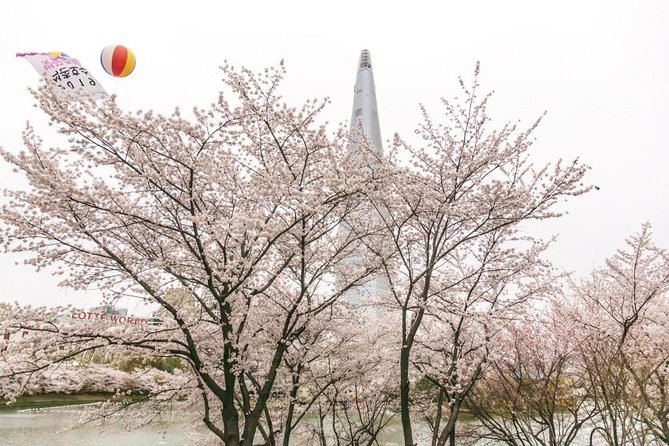 Seoul Highlights & Hidden Gems – Private Tour with Photo Service - Private photo tour energy: what you’re really buying