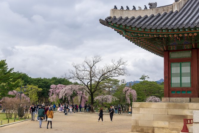 Seoul Highlights & Hidden Gems – Private Tour with Photo Service - Stop 1: Gyeongbokgung Palace and the photo-ready grand entrance