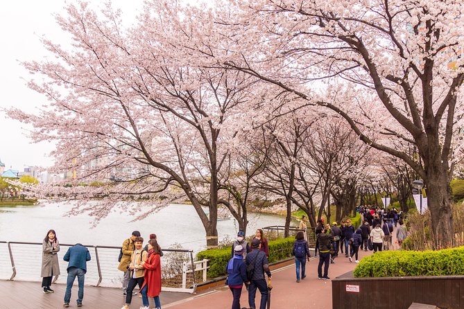 Seoul Highlights & Hidden Gems – Private Tour with Photo Service - Price and value: is $210 a smart deal for your day?