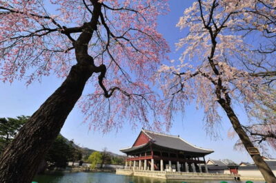 Seoul: Highlights of Seoul Full-Day Tour - Bukchon Hanok Village: Traditional Houses, Real Neighborhood Feeling