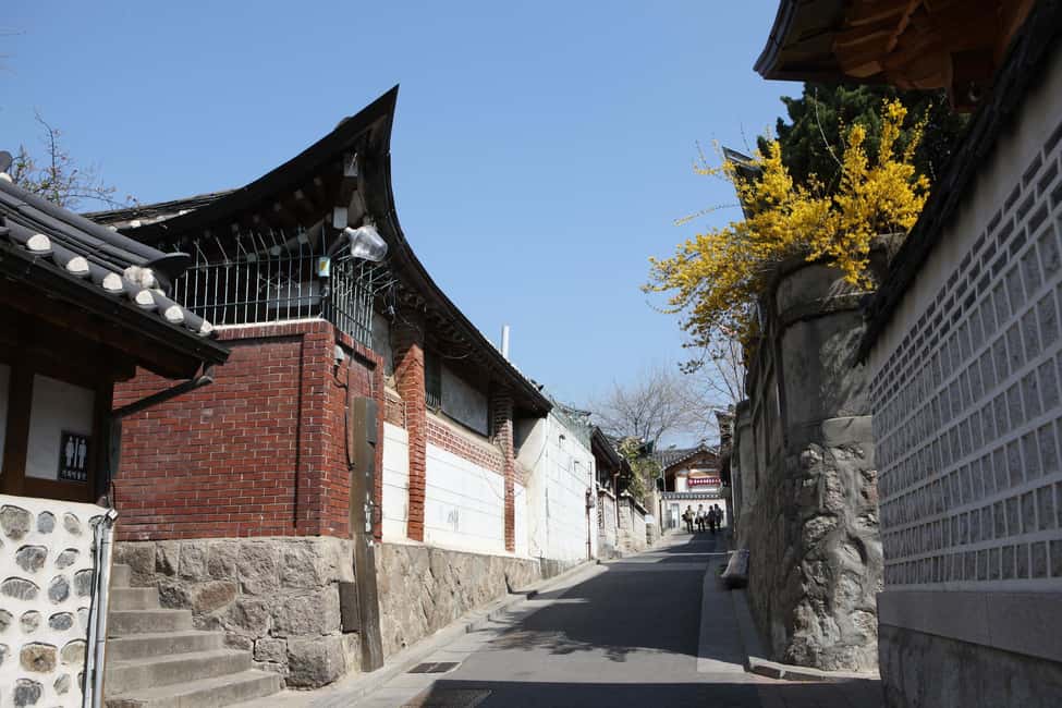 Seoul: Highlights of Seoul Half-Day Tour - Gwangjang Market finish: plan for lunch or snacks