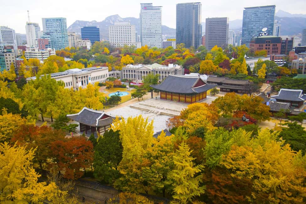 Seoul: Highlights of Seoul Half-Day Tour - Who this tour suits best (and who should skip it)