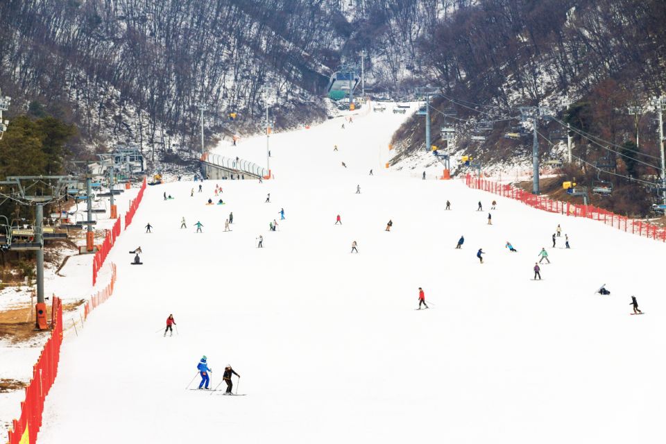 Seoul: Jisan Forest Winter Ski Day Tour with Basic Lesson - Price and Value: What $19 Means Here