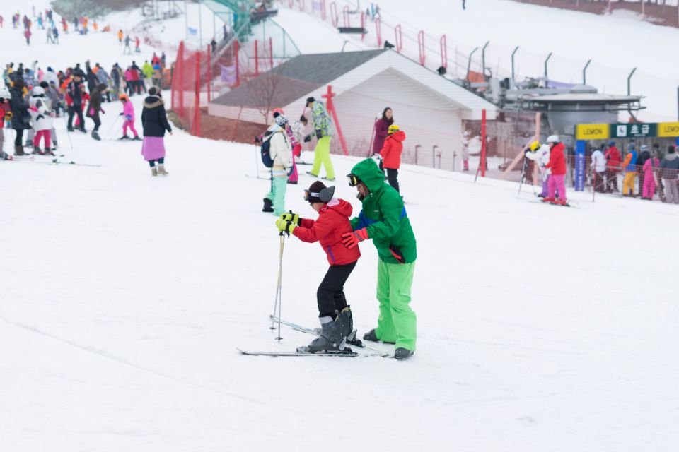 Seoul: Jisan Forest Winter Ski Day Tour with Basic Lesson - Who This Tour Suits Best