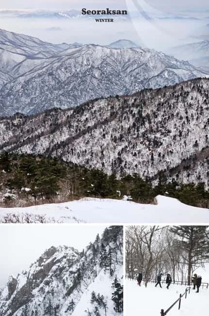 Seoul: Mt. Seorak & Nami Island & Eobi Ice Valley Day Tour - Seoraksan National Park: cable car views and mountain-time pacing