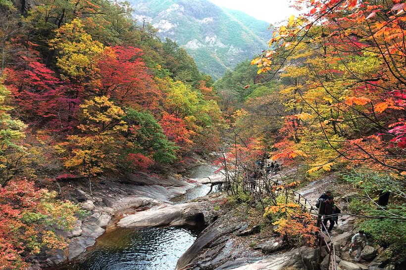 Seoul: Mt.Seorak(+CableCar Option)+Sokcho Fish Market&Beach - Should you book the Seoraksan + Sokcho day trip?