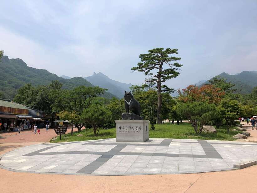 Seoul: Mt.Seorak(+CableCar Option)+Sokcho Fish Market&Beach - Sokcho Tourist Fishery Market: where the day shifts from mountain to food