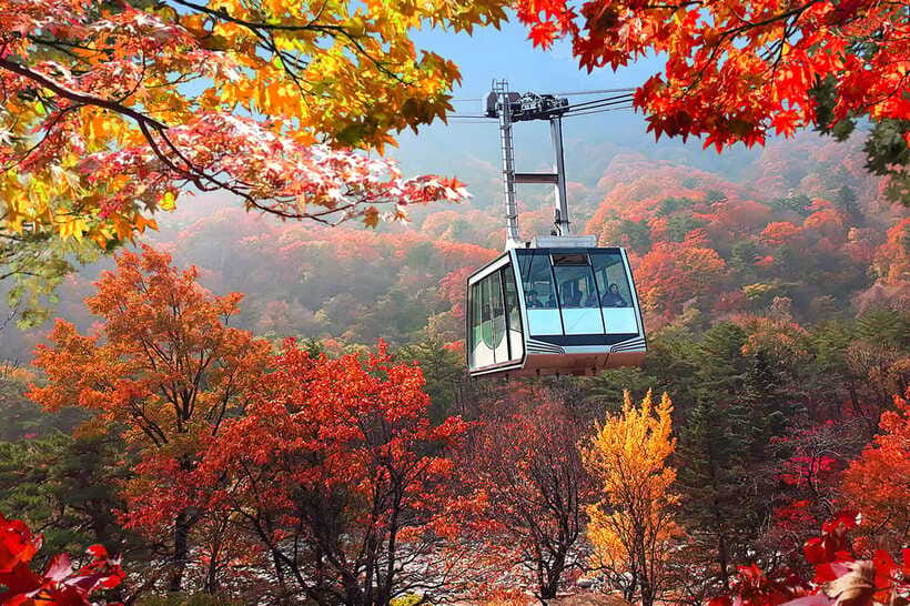Seoul: Mt.Seorak(+CableCar Option)+Sokcho Fish Market&Beach - The guide factor: why having someone in charge helps