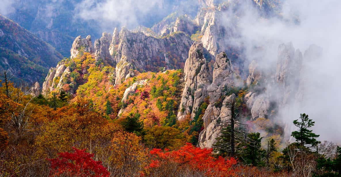 Seoul: Mt. Seoraksan National Park Autumn Foliage Day Tour - Key Things I’d Know Before You Go