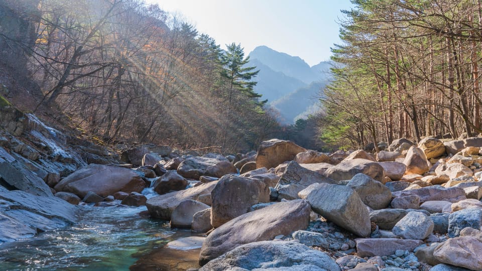 Seoul: Mt. Seoraksan National Park Autumn Foliage Day Tour - Should you book the Mt. Seoraksan Autumn Foliage Day Tour?