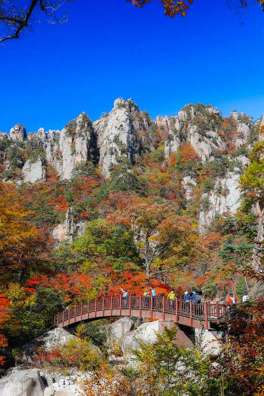 Seoul: Mt. Seoraksan National Park Autumn Foliage Day Tour - From Seoul to Seoraksan: the calm ride north