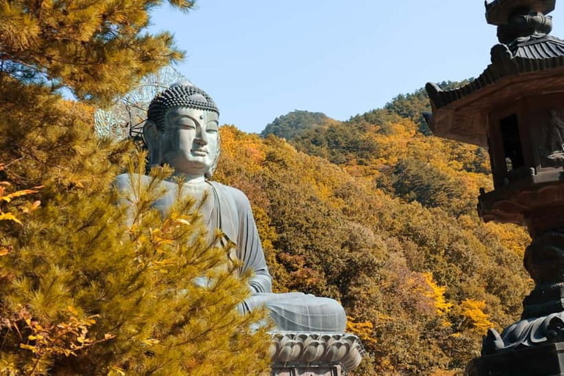 Seoul: Mt. Seoraksan National Park Autumn Foliage Day Tour - Choosing your route: Ullsanbawi stairs vs easier walks