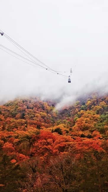 Seoul: Mt. Seoraksan National Park Autumn Foliage Day Tour - Temples and viewpoints: how to see more than just leaves