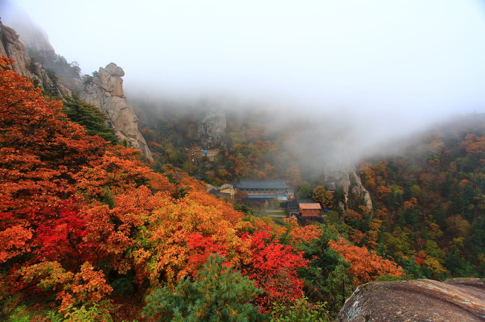 Seoul: Mt. Seoraksan National Park Autumn Foliage Day Tour - Timing the day: 5 hours in the park, back to Seoul by evening