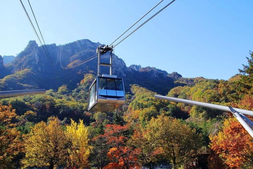 Seoul: Mt. Seoraksan National Park Autumn Foliage Day Tour - Who this tour suits best (and who should skip it)
