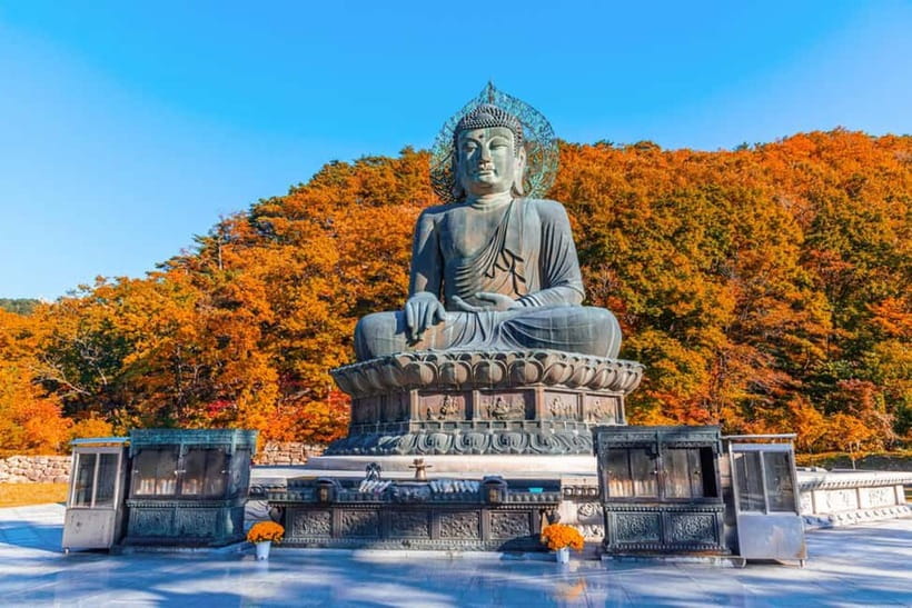 Seoul: Mt. Seoraksan National Park Autumn Foliage Day Tour - Arrival around 10AM: what the fall colors really feel like