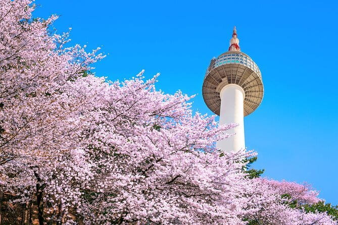 Seoul: N Tower Observatory Ticket - Tickets and redemption: how to avoid the most common problem