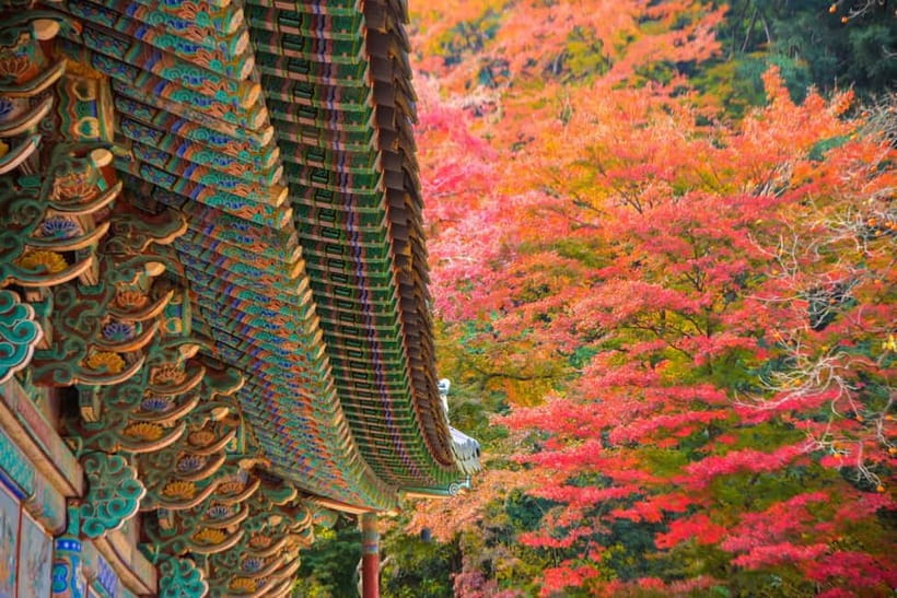 Seoul: Naejangsan National Park Autumn Foliage One Day Tour - Languages and staff support: useful on a day trip