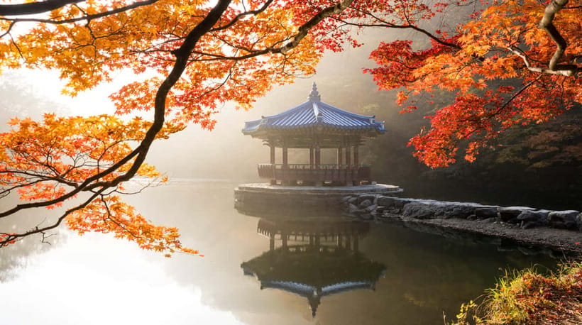 Seoul: Naejangsan National Park Autumn Foliage One Day Tour - Tips to make the day feel easier