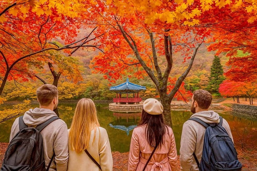 Seoul: Naejangsan National Park Autumn Foliage One Day Tour - Getting to the park: shuttle bus and guided routes