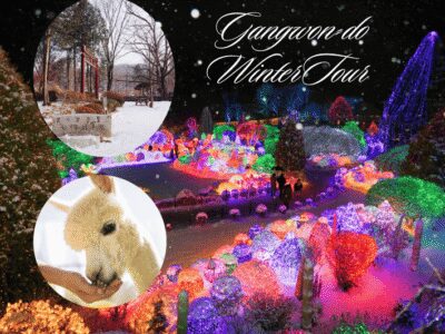 Seoul: Nami and K-Garden with Optional Alpaca Winter Tour - Eobi Valley: the frozen ice wall waterfall moment