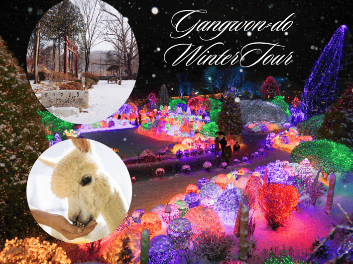 Seoul: Nami and K-Garden with Optional Alpaca Winter Tour - Eobi Valley: the frozen ice wall waterfall moment