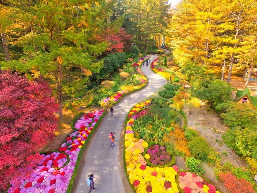 Seoul: Nami Island and Garden of Morning Calm opt Railbike - Should You Book This Tour?