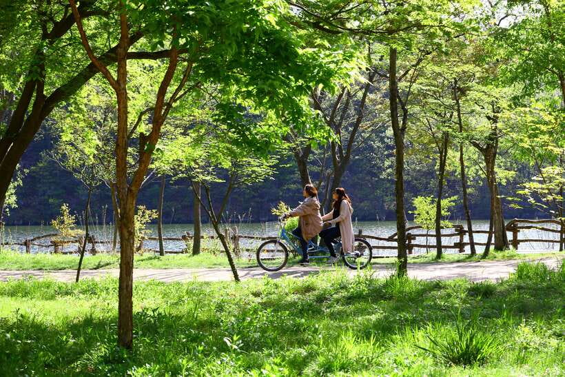 Seoul: Nami Island & Petite France Tour with Railbike Option - Gangchon Rail Park Rail Bike: The Best Active Break on the Itinerary
