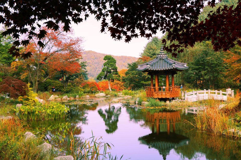 Seoul: Private Customizable Tour to Nami Island and More - Family-friendly comfort and small-group service