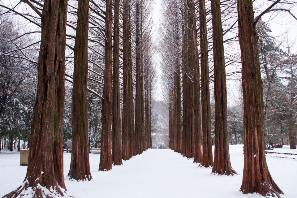 Seoul: Private Customizable Tour to Nami Island and More - How the flexible schedule helps you actually enjoy the day