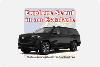 Seoul: Private Luxury Vehicle Tour - English/Spanish guiding - English/Spanish guiding that keeps you from missing the point