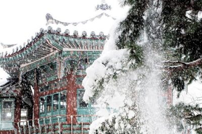 Seoul Private RV tour, explore real Korea from Past to Future - Gwangjang Market: traditional Korea without the stress of figuring it out