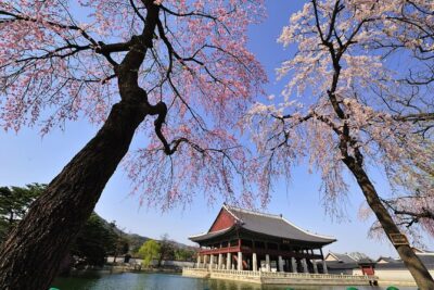 Seoul Private Tour Gyeongbok Palace Bukchon and Gwangjang Market - Entering Gyeongbokgung Palace and Catching the Royal Guard Ceremony