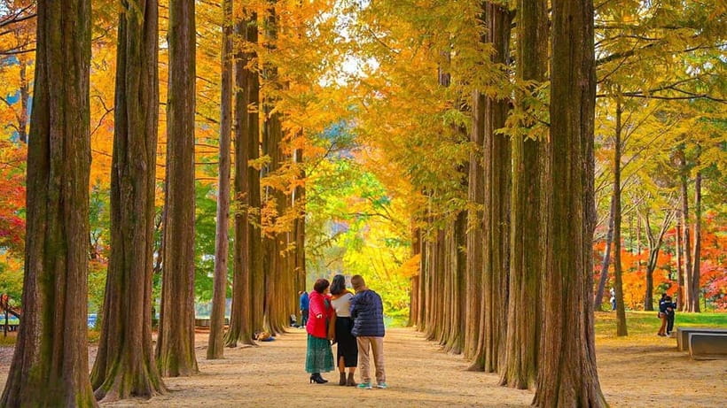 Seoul: Private Tour to Nami Island, Garden, Petite France - Nami Island: ferry ride, riverside walking, and the K-drama factor