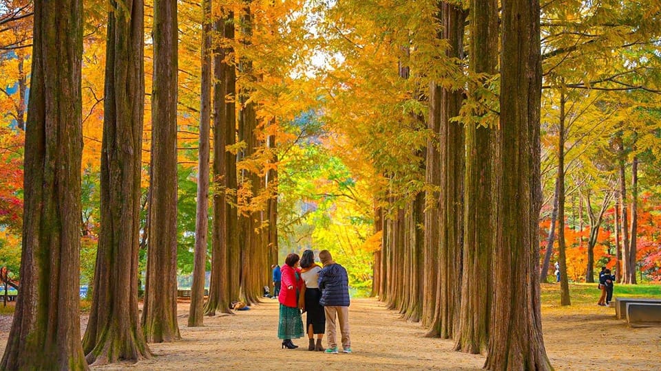 Seoul: Private Tour to Nami Island, Garden, Petite France - The 10-hour pacing: how to make it feel like a trip, not a checklist