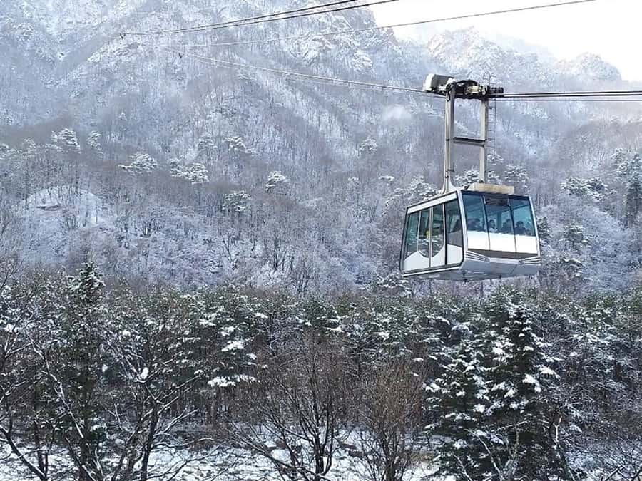 Seoul: Seorak Mountain+Nami Island+Eobi Ice Valley Tour - Seoraksan Mountain: cable car panoramas, Tongil Daebul, and Sinheungsa