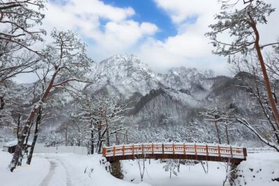 Seoul: Seorak Mountain+Nami Island+Eobi Ice Valley Tour - Getting there: round-trip transfers that save your sanity