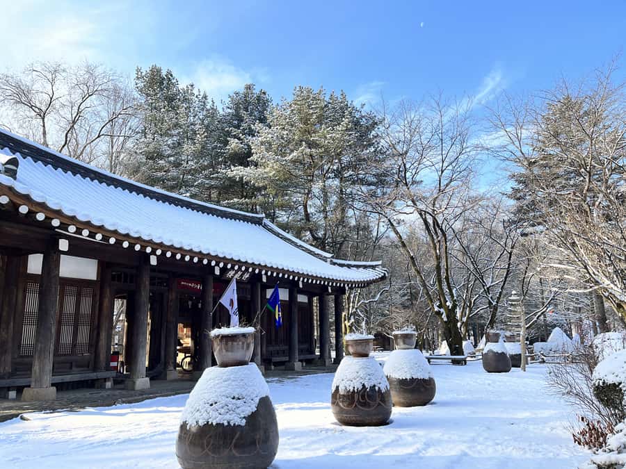 Seoul: Seorak Mountain+Nami Island+Eobi Ice Valley Tour - Nami Island in snow: a K-drama filming favorite with ferry vibes