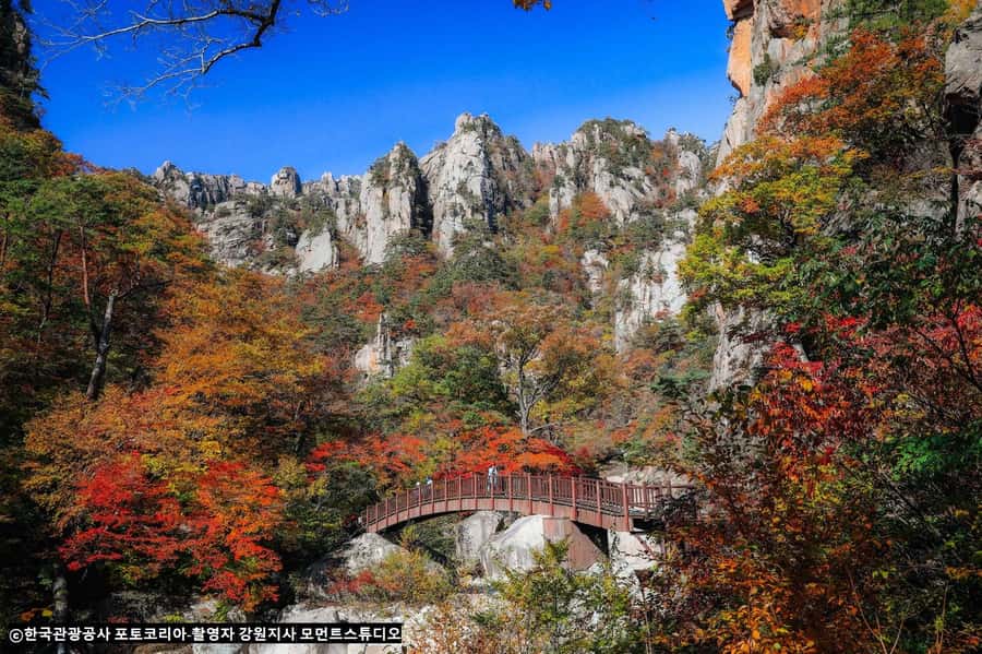 Seoul: Seorak Mountain+Nami Island+Eobi Ice Valley Tour - Pace and group feel: hands-off guidance with clear timing