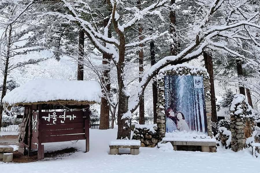 Seoul: Seorak Mountain+Nami Island+Eobi Ice Valley Tour - What’s included (and what you’ll likely pay for)