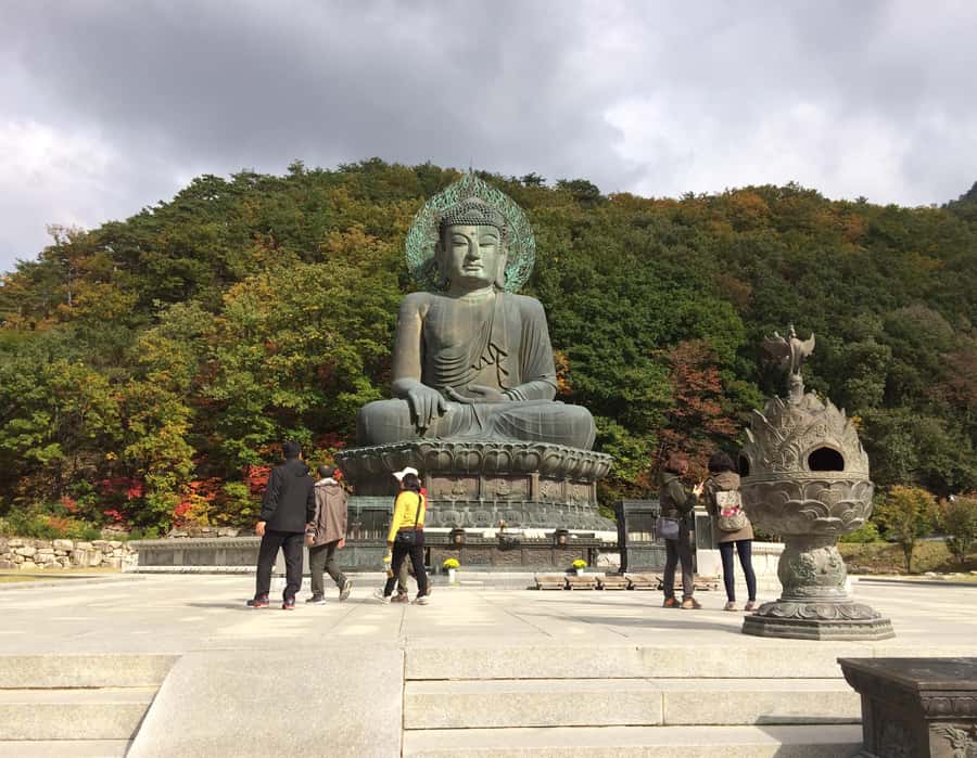 Seoul: Seorak Mountain+Nami Island+Eobi Ice Valley Tour - Who this tour fits best (and who should rethink it)