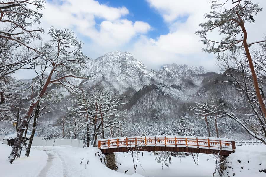 Seoul: Seorak Mountain+Nami Island+Eobi Ice Valley Tour - Getting there: round-trip transfers that save your sanity
