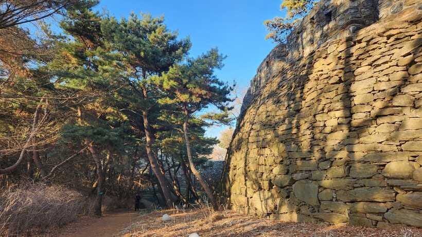 Seoul: Services of a Local for a Day (Paperwork/Tour/Fun) - Price and value: why $207 can feel fair (or not)