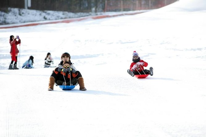 Seoul Ski Tour at Jisan Forest Resort - What You’re Paying For: The Real Value Behind the Price