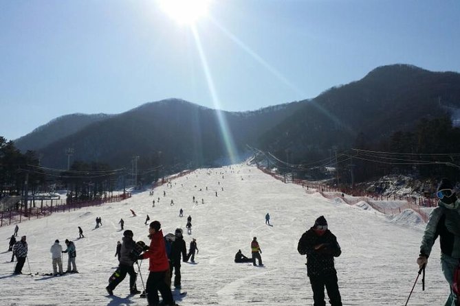 Seoul Ski Tour at Jisan Forest Resort - Getting to Jisan Forest Resort: Snowmaking and the Beginner Path