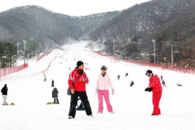 Seoul Ski Tour at Jisan Forest Resort - The Guide Portion That Actually Helps (Not Just Crowd Control)