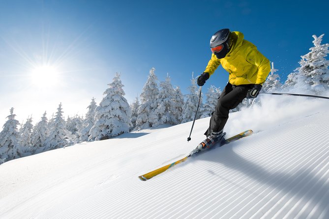 Seoul Ski Tour at Jisan Forest Resort - Skiing Time, Breaks, and What to Do If You’re Not Skiing