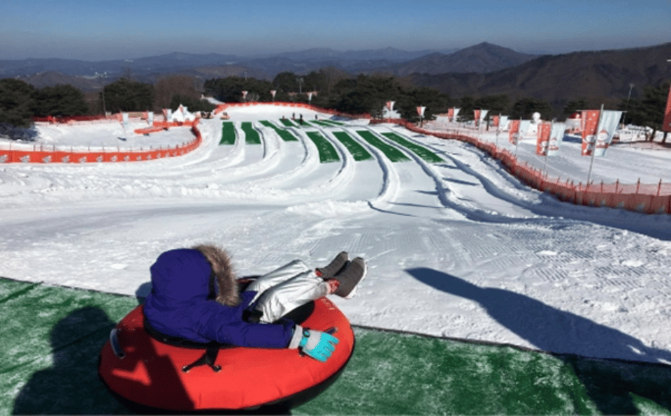 Seoul: SnowyLand in Vivaldi Park with Nami or Alpaca - Key points before you go